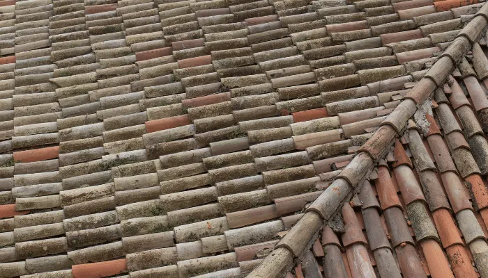 dépose de l'ancien toit