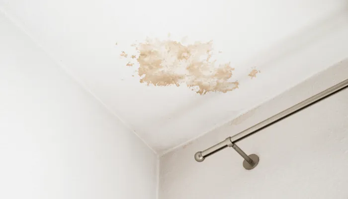 fuite toiture avec tache plafond